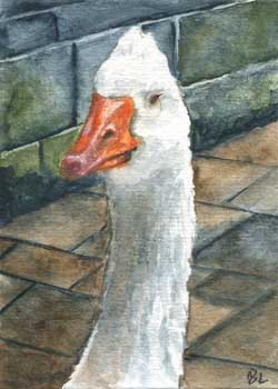 February - "Goosey Goosey Gander" by Beverly Larson, Oregon WI - Watercolor - SOLD